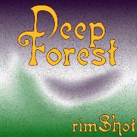 Picture for song 'Heavy Rain' by artist 'rimshotmusic'