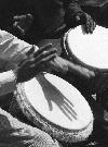 Picture for song 'Kuku' by artist 'Rio Fatala'