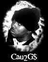 Picture for song 'Cau2G$ - Raise It Up' by artist 'Riot Squad (RRS)'