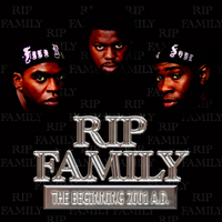 Picture for song 'Bammin' by artist 'RIP Family'