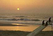 Picture for song 'Warm Weather_remaster2023' by artist 'Rip or Flip'