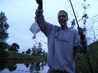 Picture for song 'any night stomp' by artist 'Ripple Quality Cuts'