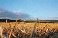 Picture for song 'That night' by artist 'Rixsta'