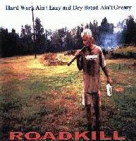 Picture for song 'I Don't Care' by artist 'Roadkill'