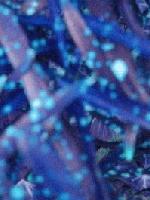 Picture for song 'Dead Heavy' by artist 'roAE'