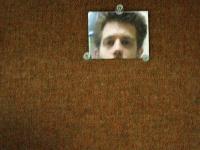 Picture for song 'I got a Job' by artist 'roAE'