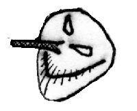 Picture for song 'It's a shame (semisweat)' by artist 'roAE'