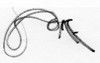 Picture for song 'roÆ' by artist 'roAE'