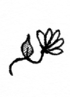 Picture for song '(the Pinkerton)' by artist 'roAE'