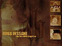 Picture for song 'Throw Em Out Da Window (Feat. Mauley T & Infa-Red)' by artist 'Robb Inssane aka Robbarado'