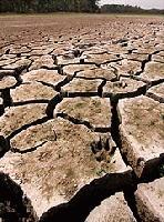 Picture for song 'This alternative hip hop song is called dry' by artist 'Roberto Male'