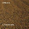 Picture for song 'Fertile soil (extract)' by artist 'Rob Marquenie'