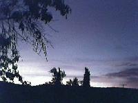 Picture for song 'Tasteless (early demo)' by artist 'Robotkin'