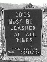 Picture for song 'Tides' by artist 'Rob Perry'