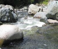 Picture for song 'Stepping Stone' by artist 'Rob Staffig'