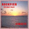 Picture for song 'Casuarina Winds' by artist 'Rockfish'