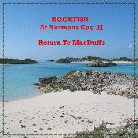 Picture for song 'Head' by artist 'Rockfish'