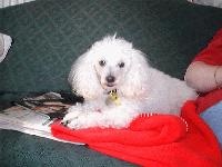 Picture for song 'In the Name of Freedom' by artist 'Rocky Outcrop and the Sand Dunes featuring KMO'