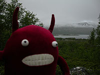 Picture for song 'Grisehurra' by artist 'Rodingen'