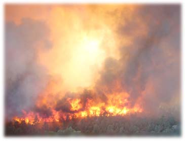 Picture for song 'ROGAN - THE LIMELIGHT' by artist 'ROGAN ALLEN'