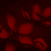 Picture for song 'Vagabond Rose' by artist 'Rollo'