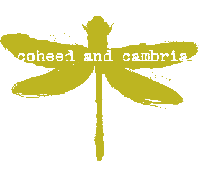 Picture for song 'In Keeping Secrets of Silent Earth' by artist 'Rompus'