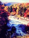 Picture for song 'With a Love so Divine (the Rainstick Song)' by artist 'Ron Bergeron'