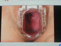 Picture for song 'Various stages of undress' by artist 'Ronis Brothers'