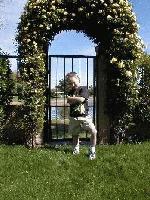 Picture for song 'I'm Brand New' by artist 'Ron Lehner'