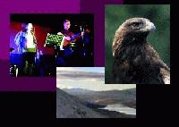 Picture for song 'Where The Eagle Is King' by artist 'Ron Lindsay'