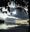 Picture for song 'Trouble in Paradise, (BMI)' by artist 'Ronnie Bee's Gigabyte Band'