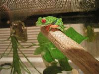 Picture for song 'feeling low' by artist 'Ronnie Rolf an' Ray'