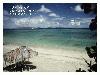 Picture for song 'ISLAND PARADISE - here & rooneytunesmusic.com' by artist 'Rooney Tunes'