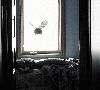 Picture for song 'Opus Pocus' by artist 'Rootbouy'