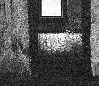 Picture for song 'Swamp Mud' by artist 'Rootbouy'