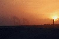 Picture for song 'Valley of the sun' by artist 'Rootbouy'