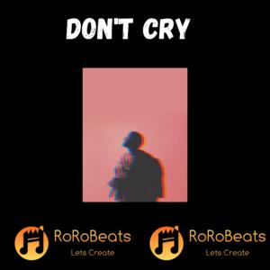 Picture for song 'Don't Cry' by artist 'RoRo Beats'