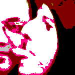 Picture for song 'Me and You' by artist 'Rose Petals and Confetti'
