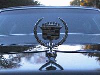 Picture for song 'Searchin'' by artist 'Roush'