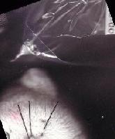 Picture for song 'Empty' by artist 'Roving Vagrants'