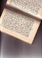 Picture for song 'The Kill' by artist 'Roving Vagrants'