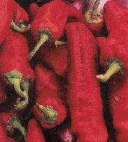 Picture for song 'Back to Yazoo (Hajas Mix)' by artist 'Royal Visionaries'