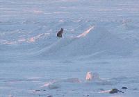 Picture for song 'you know i love you, baby' by artist 'Rt Judd Band'