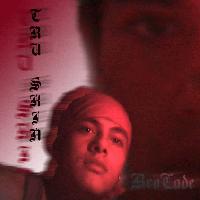 Picture for song 'Tru Skin Intro' by artist 'Ruba Brocc Dawg'