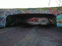 Picture for song 'dutch masters' by artist 'rubio'