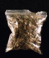 Picture for song 'Los Dueños feat. Soldado' by artist 'Rude'