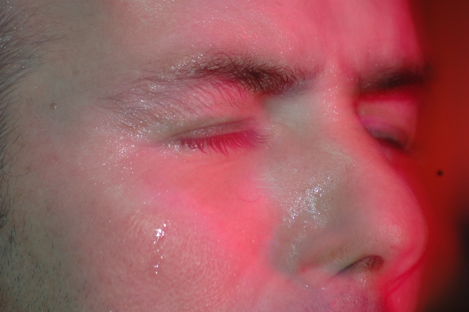 Picture for song 'Holy Moses' by artist 'Run Froid Run'