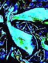 Picture for song 'Feeling Good' by artist 'Russ Foreman'