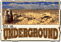 Picture for song 'The Prairie Dog Exodus' by artist 'Russ Rentler'