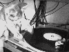 Picture for song 'Starscream mega mix' by artist 'Rusty Beatz'